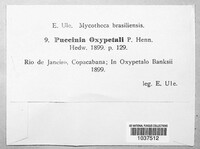 Puccinia oxypetali image